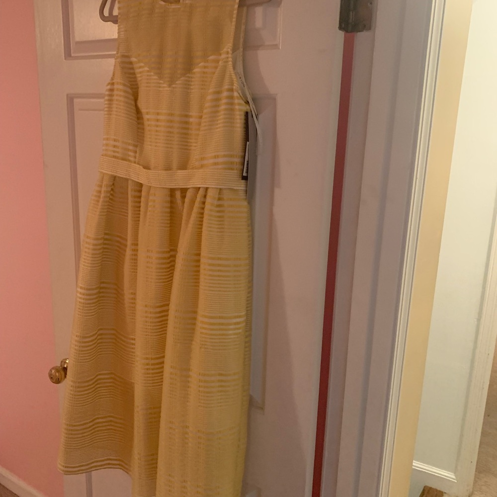 NWT Halston Heritage pleated cocktail dress. Stunning and classy for event